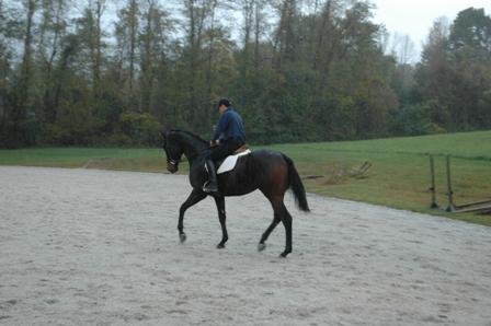 chevelo farm thierry rain